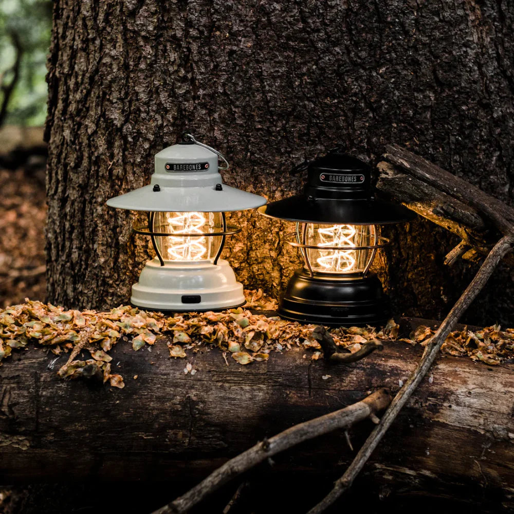 Barebones Living Antique Bronze Forest Lantern