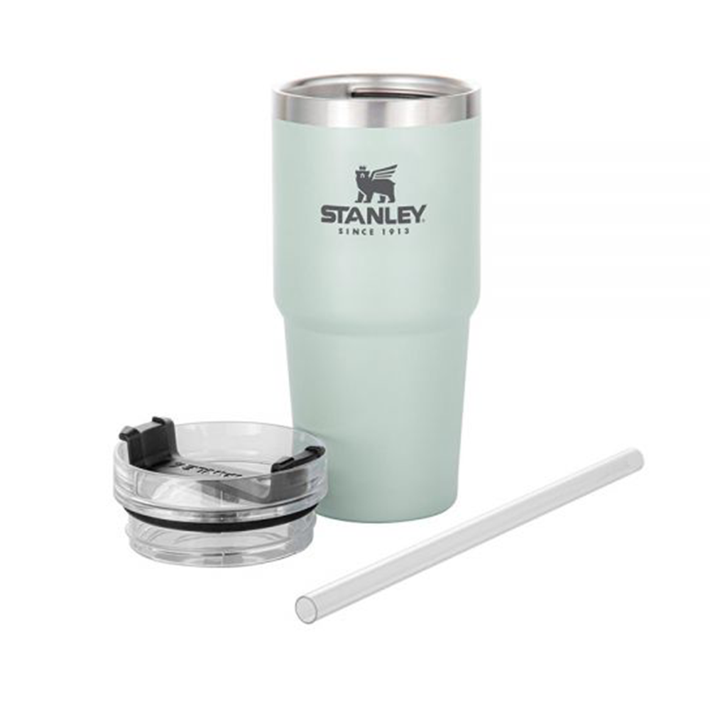 Stanley 2pk 20oz Stainless Steel Adventure Quencher Tumblers🫶🏼🤍💗☁️, Stanley Cup