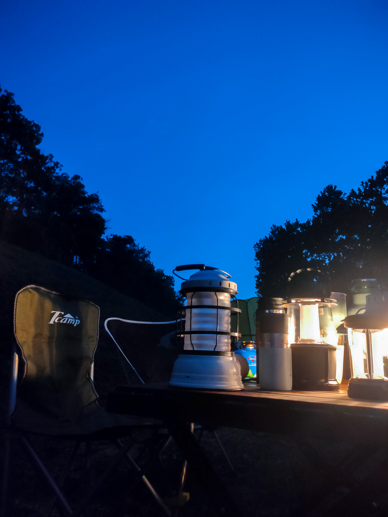 Barebones Forest Lantern Bronze