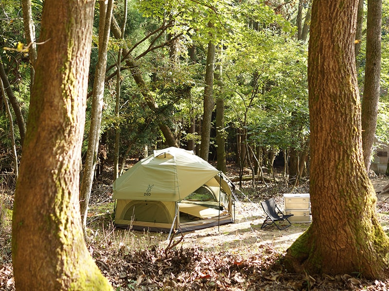 DoD Kinoko 4 person Tent - Beige