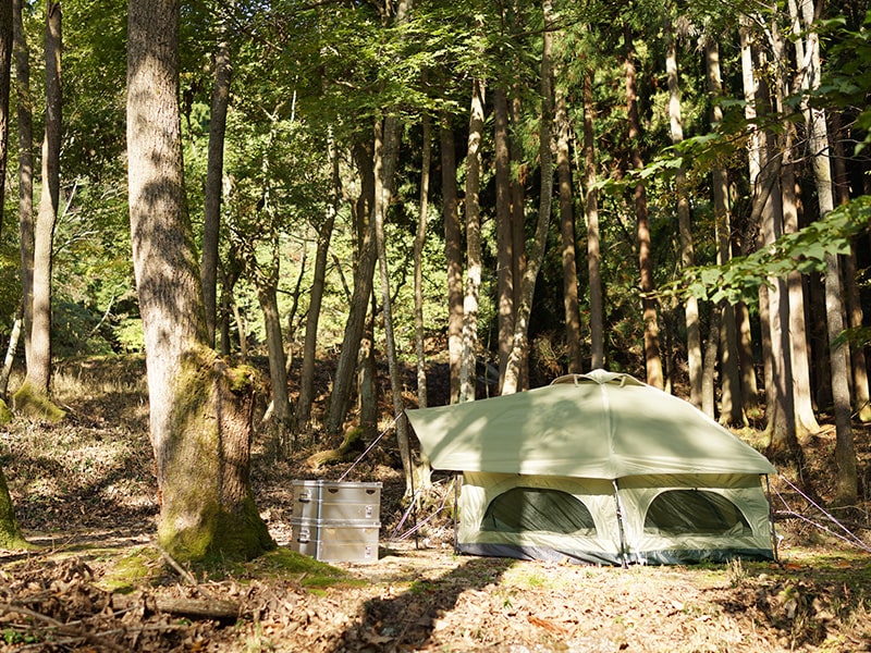 DoD Kinoko 4 person Tent - Beige